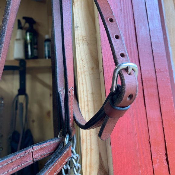 In hand show halter - Picture 4 of 5